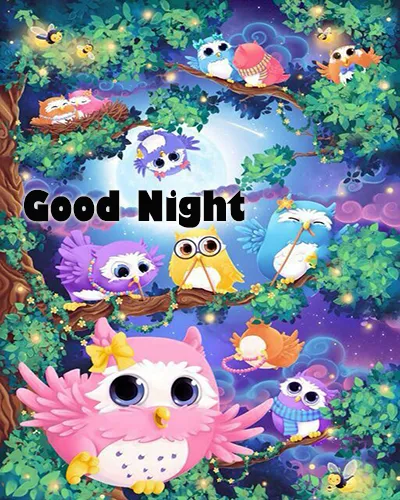 Good Night Greetings Greeting Cards 26025