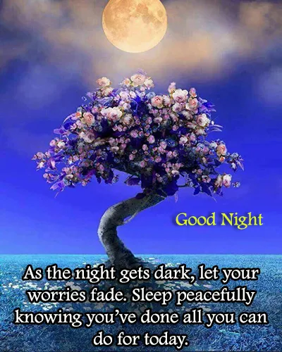 Good Night Greetings Greeting Cards 25988