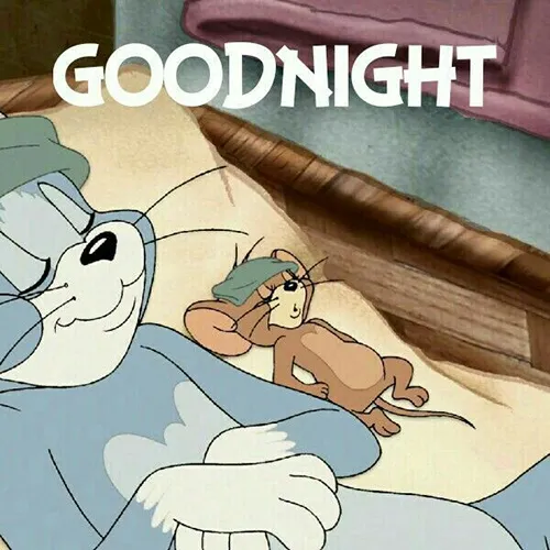 Good Night Greetings Greeting Cards 25824