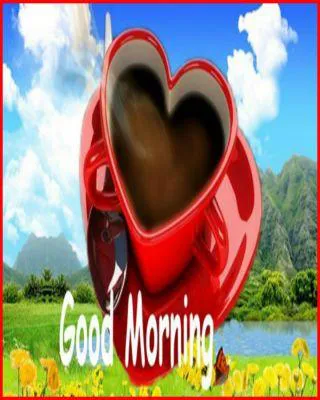 Good Morning Wishes Greeting Cards 6623