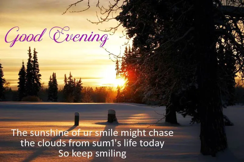 Good Evening Greetings Greeting Cards 9021