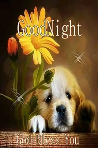 Good Night Greetings Greeting Cards 25894