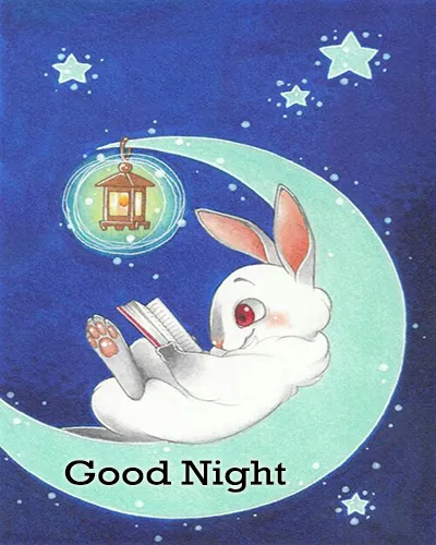 Good Night Greetings Greeting Cards 26000