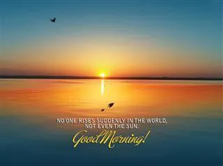 Good Morning Wishes Greeting Cards 6734