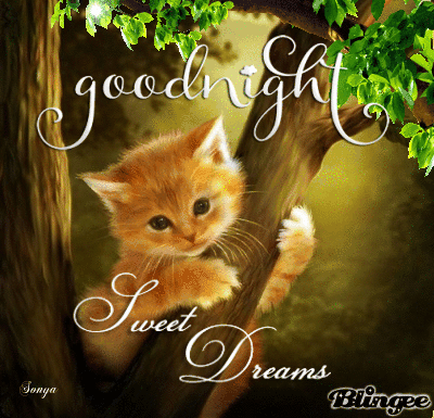 Good Night Greetings Greeting Cards 9242