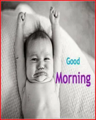 Good Morning Wishes Greeting Cards 6738