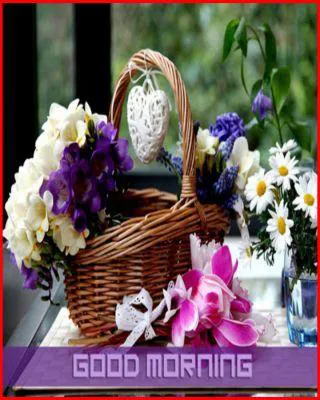 Good Morning Wishes Greeting Cards 6639