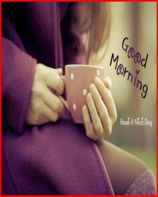Good Morning Wishes Greeting Cards 6701