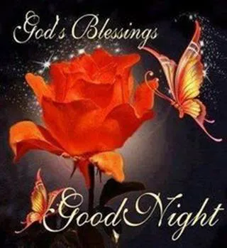 Good Morning Wishes Greeting Cards 6938