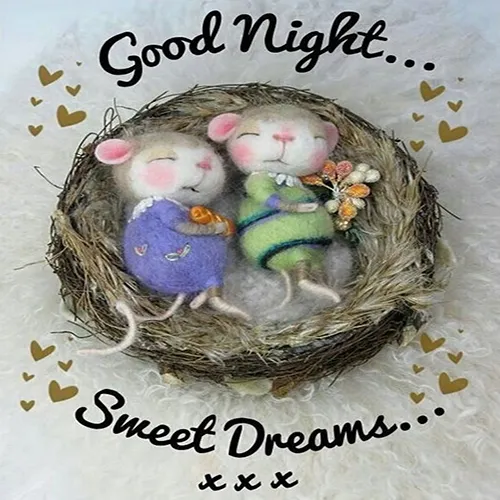 Good Night Greetings Greeting Cards 25826