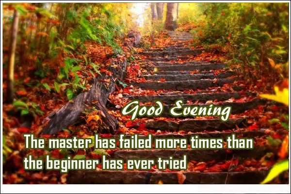 Good Evening Greetings Greeting Cards 9012