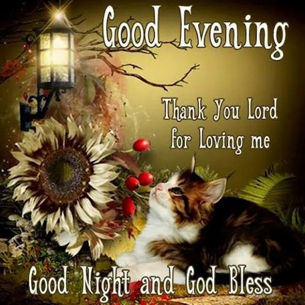 Good Evening Greetings Greeting Cards 9026