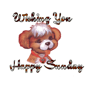 Sunday Greetings Greeting Cards 10410