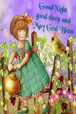 Good Night Greetings Greeting Cards 25931