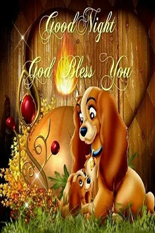 Good Night Greetings Greeting Cards 25930