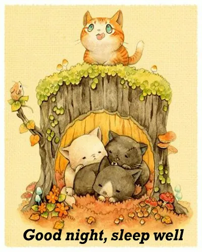 Good Night Greetings Greeting Cards 25998