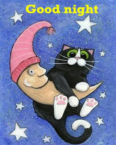 Good Night Greetings Greeting Cards 26001