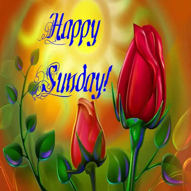 Everyday Greetings Greeting Cards 14406