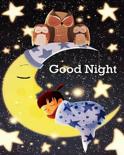 Good Night Greetings Greeting Cards 25999