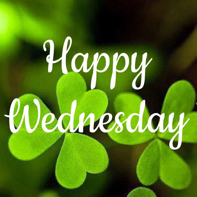 Everyday Greetings Greeting Cards 14489
