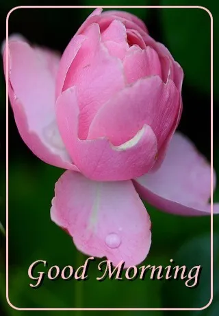 Saturday Greetings Greeting Cards 15278