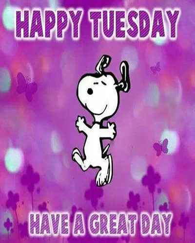 Everyday Greetings Greeting Cards 24576