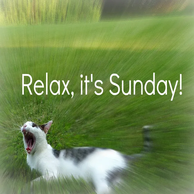 Everyday Greetings Greeting Cards 14420