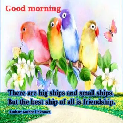 Good Morning Wishes Greeting Cards 7263