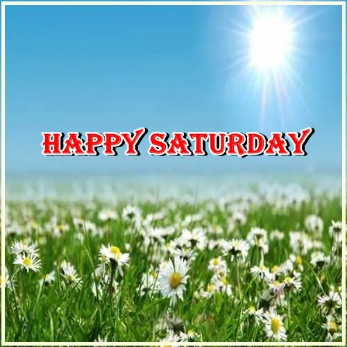 Saturday Greetings Greeting Cards 15325