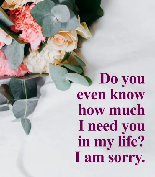 I Am Sorry Greetings Greeting Cards 52087
