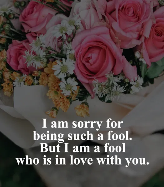 I Am Sorry Greetings Greeting Cards 52094