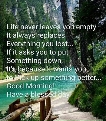 Good Morning Wishes Greeting Cards 25543