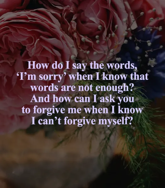 I Am Sorry Greetings Greeting Cards 52101