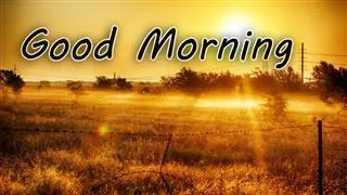 Good Morning Wishes Greeting Cards 6741