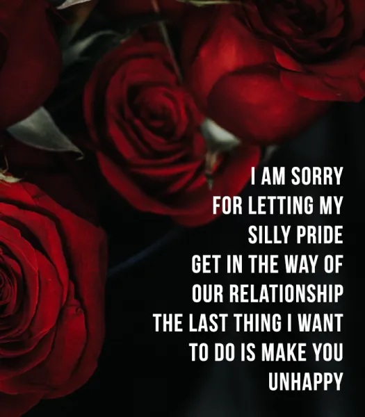 I Am Sorry Greetings Greeting Cards 52102