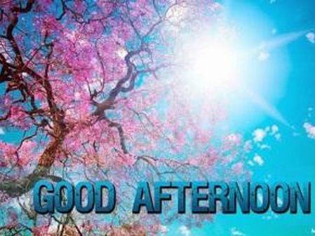 Good Afternoon Greetings Greeting Cards 98684