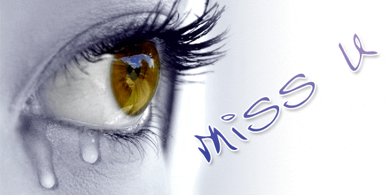 I Miss You Greetings Greeting Cards 13527