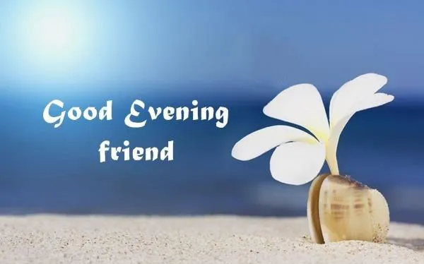 Good Evening Greetings Greeting Cards 8926