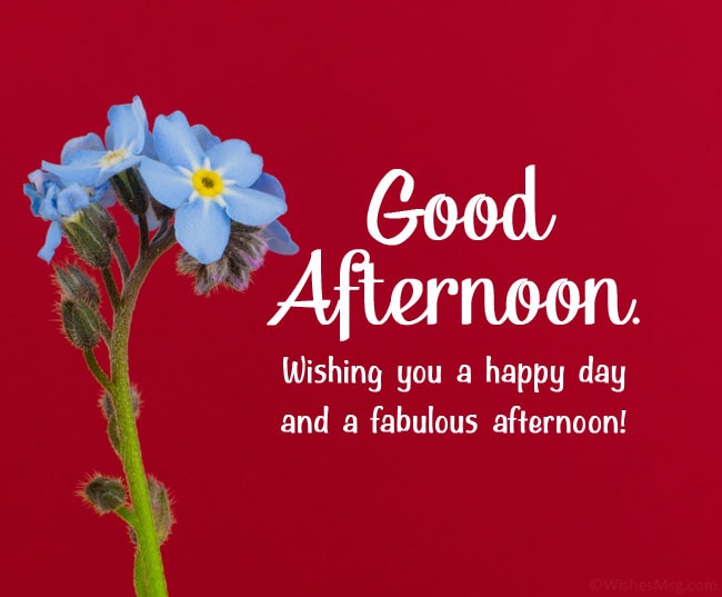 Good Afternoon Greetings Greeting Cards 98685