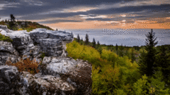 West Virginia Day Greeting Cards 101607