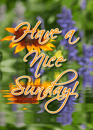 Sunday Greetings Greeting Cards 10031