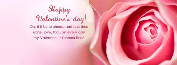 Valentine Day Greeting Cards 21405