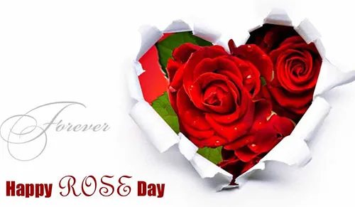 Rose Day Daily Greeting Rose Day Greeting Cards Image
