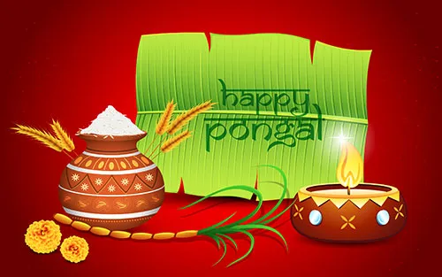 Pongal Greeting Cards 16617