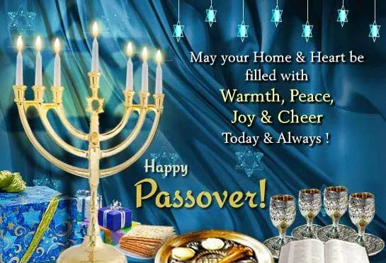 Passover Greeting Cards 17393