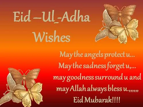 Eid al-Adha Greeting Cards 17713