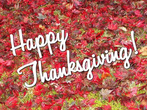Thanksgiving Day Greeting Cards 21312