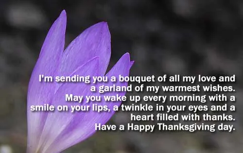 Thanksgiving Day Greeting Cards 21329