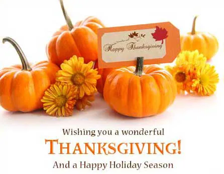 Thanksgiving Day Greeting Cards 21365