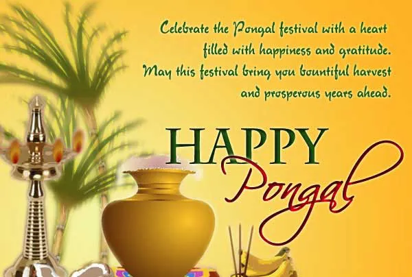 Pongal Greeting Cards 16596